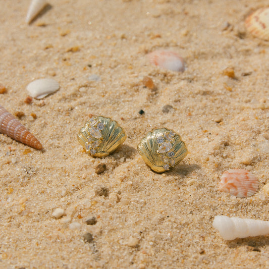 Oh, Barnacles! Seashell Studs