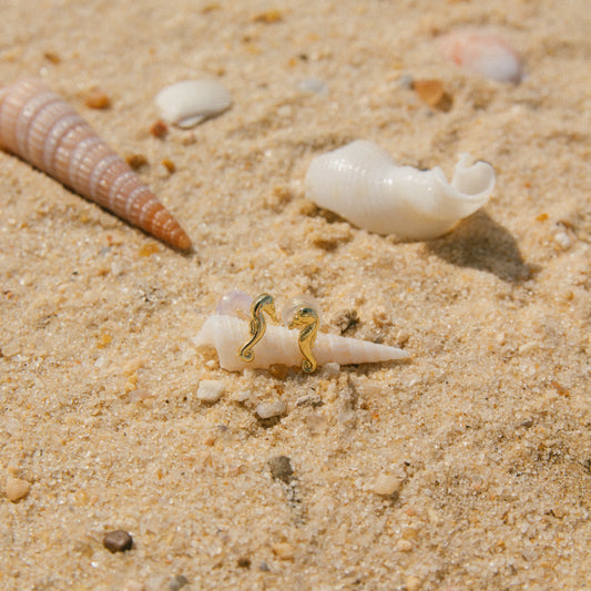 Coastal Cutie Seahorse Mini Studs