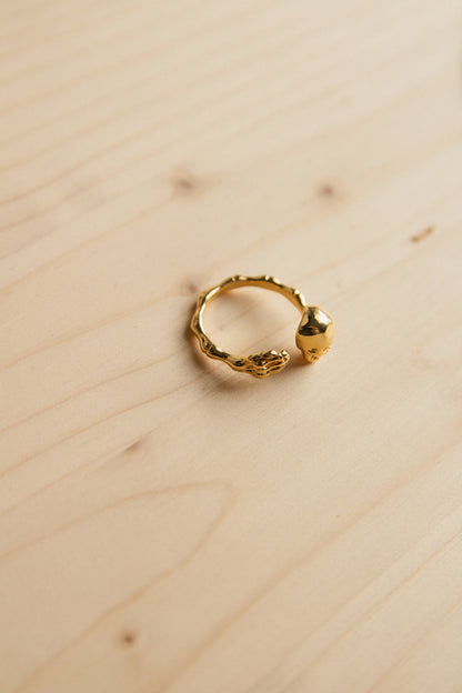 Bone to Pick Ring