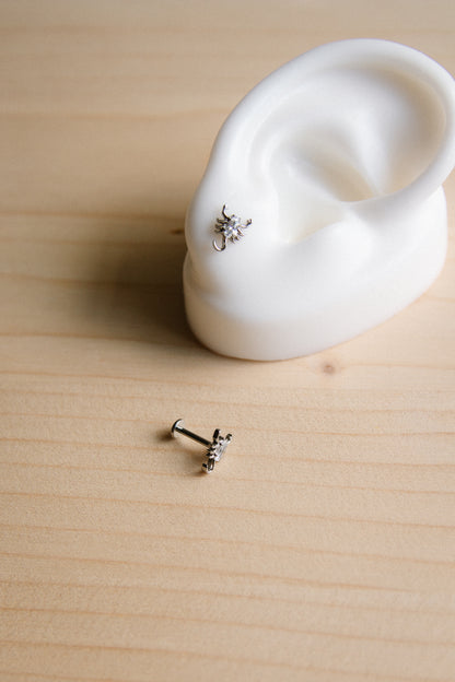 The Scorpion Flat Back Studs