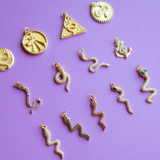 Snake Charms