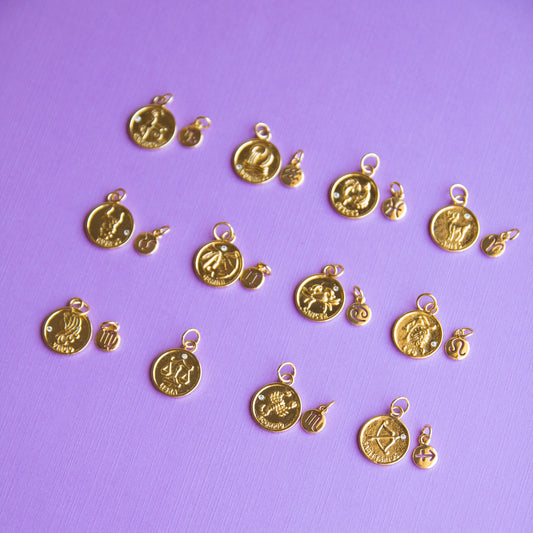 Zodiac Charms