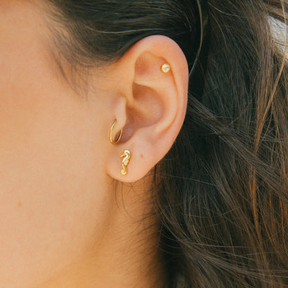 Coastal Cutie Seahorse Mini Studs