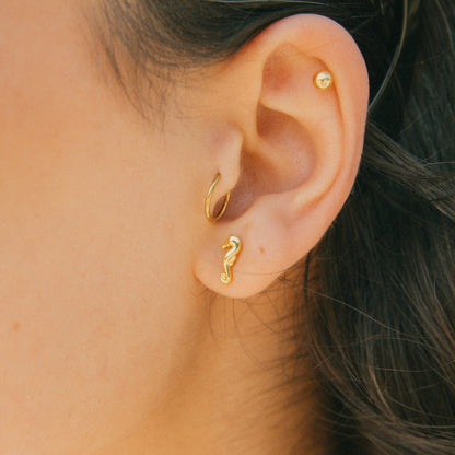 Coastal Cutie Seahorse Mini Studs