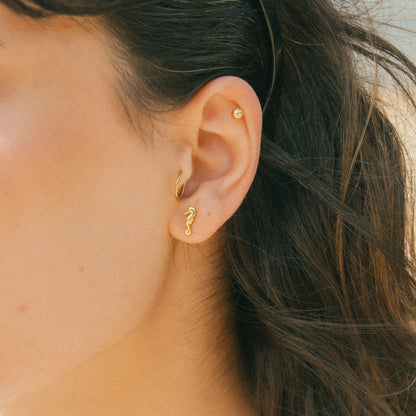 Coastal Cutie Seahorse Mini Studs