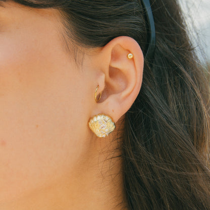Oh, Barnacles! Seashell Studs