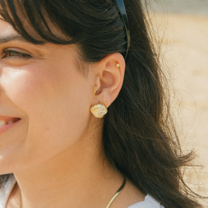 Oh, Barnacles! Seashell Studs