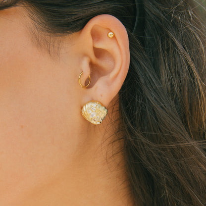 Oh, Barnacles! Seashell Studs