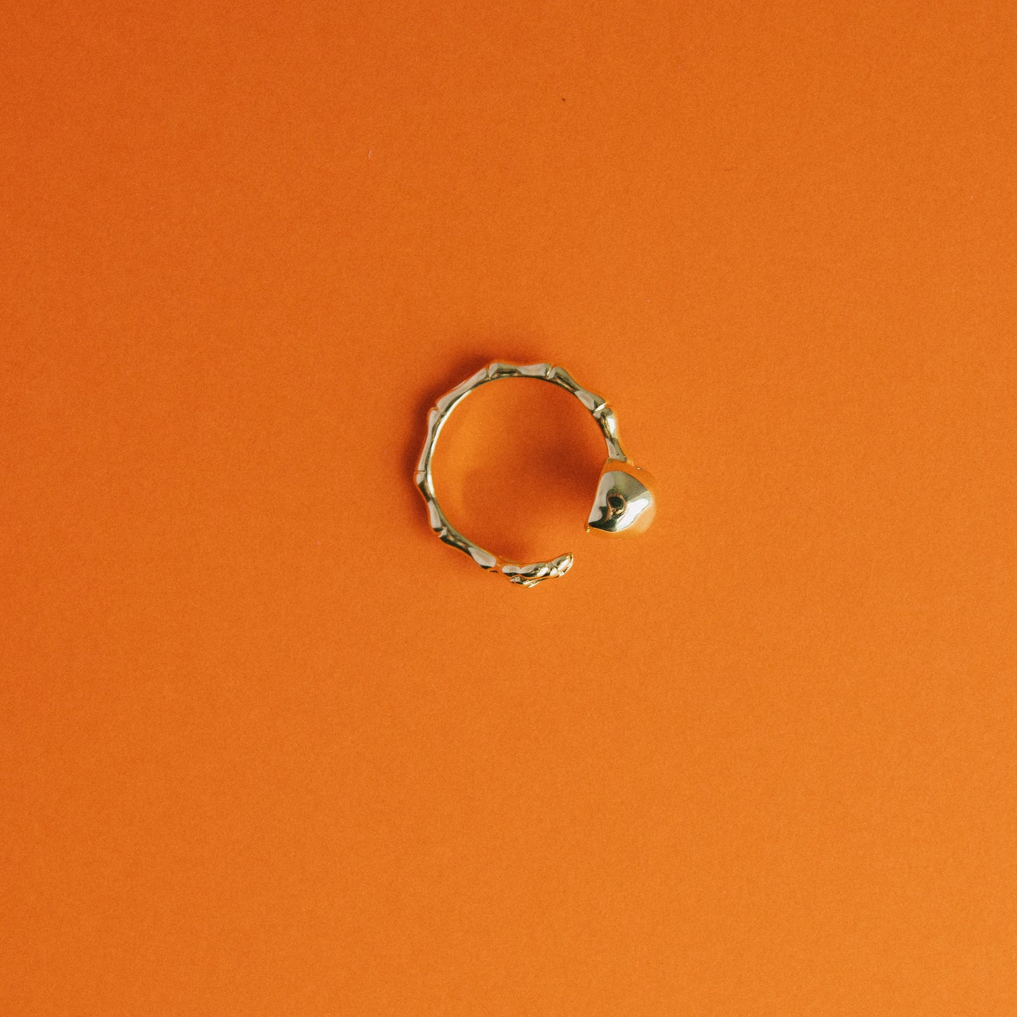 Bone to Pick Adjustable Ring